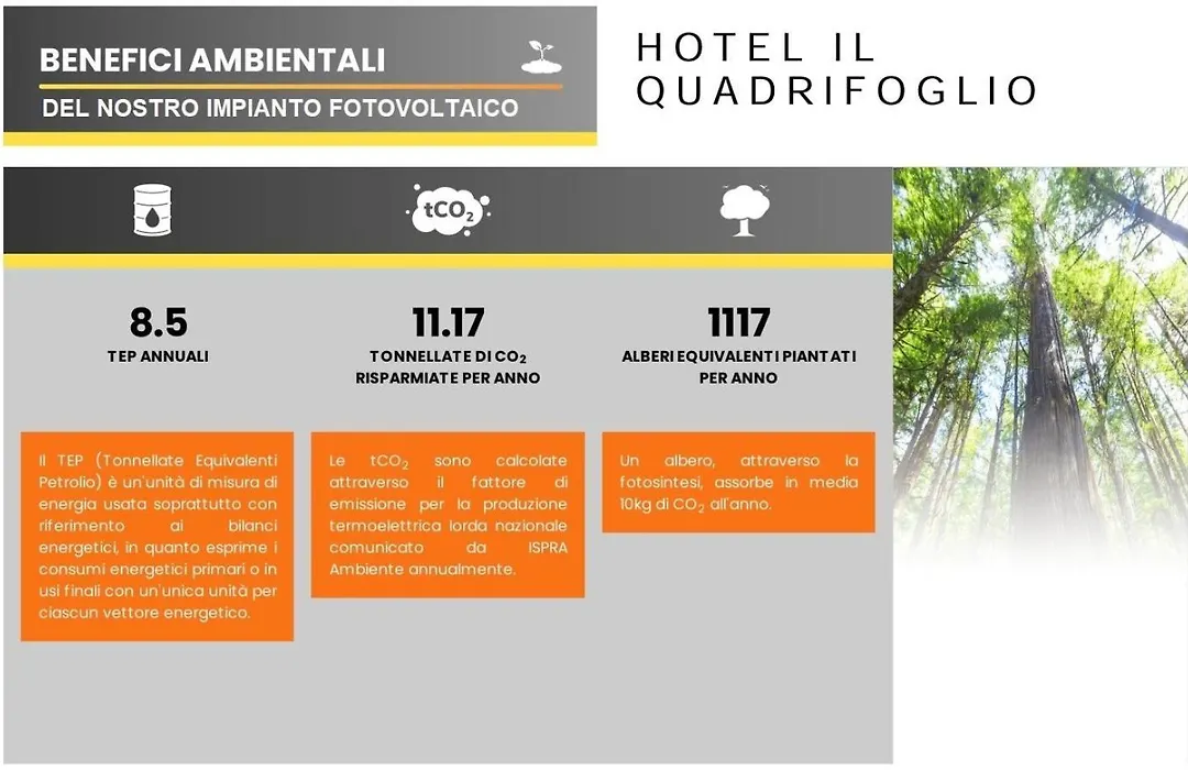Hotel Quadrifoglio Roma Eur-1
